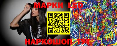 мдпв Гусев